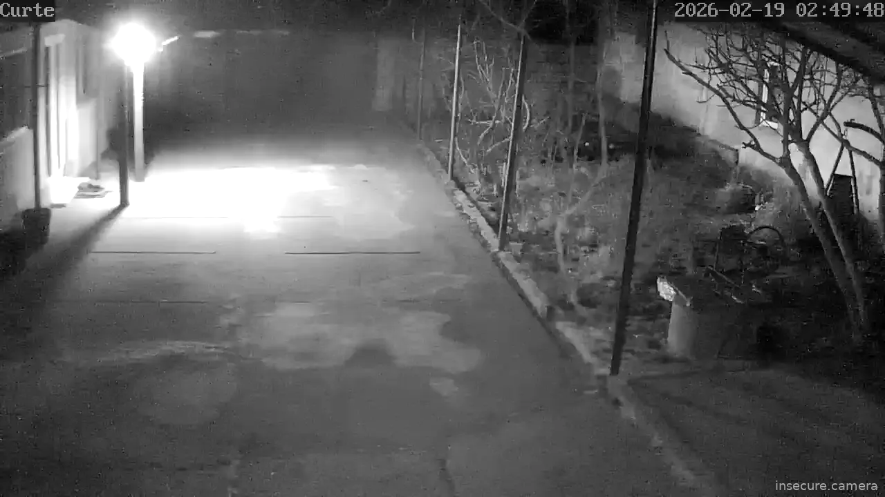 Capture from Feb 19, 2026 at 12:50 AM