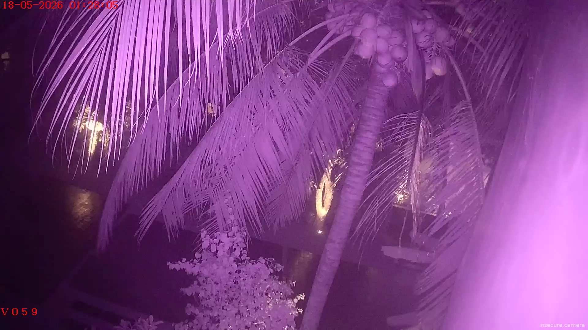 Camera in Vietnam