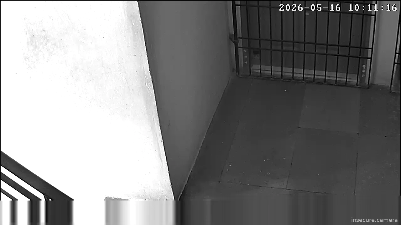 Camera in India