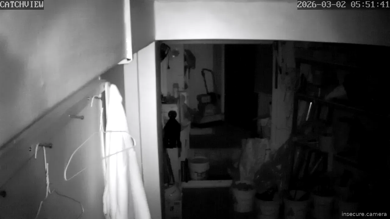 Capture from Mar 01, 2026 at 08:51 PM