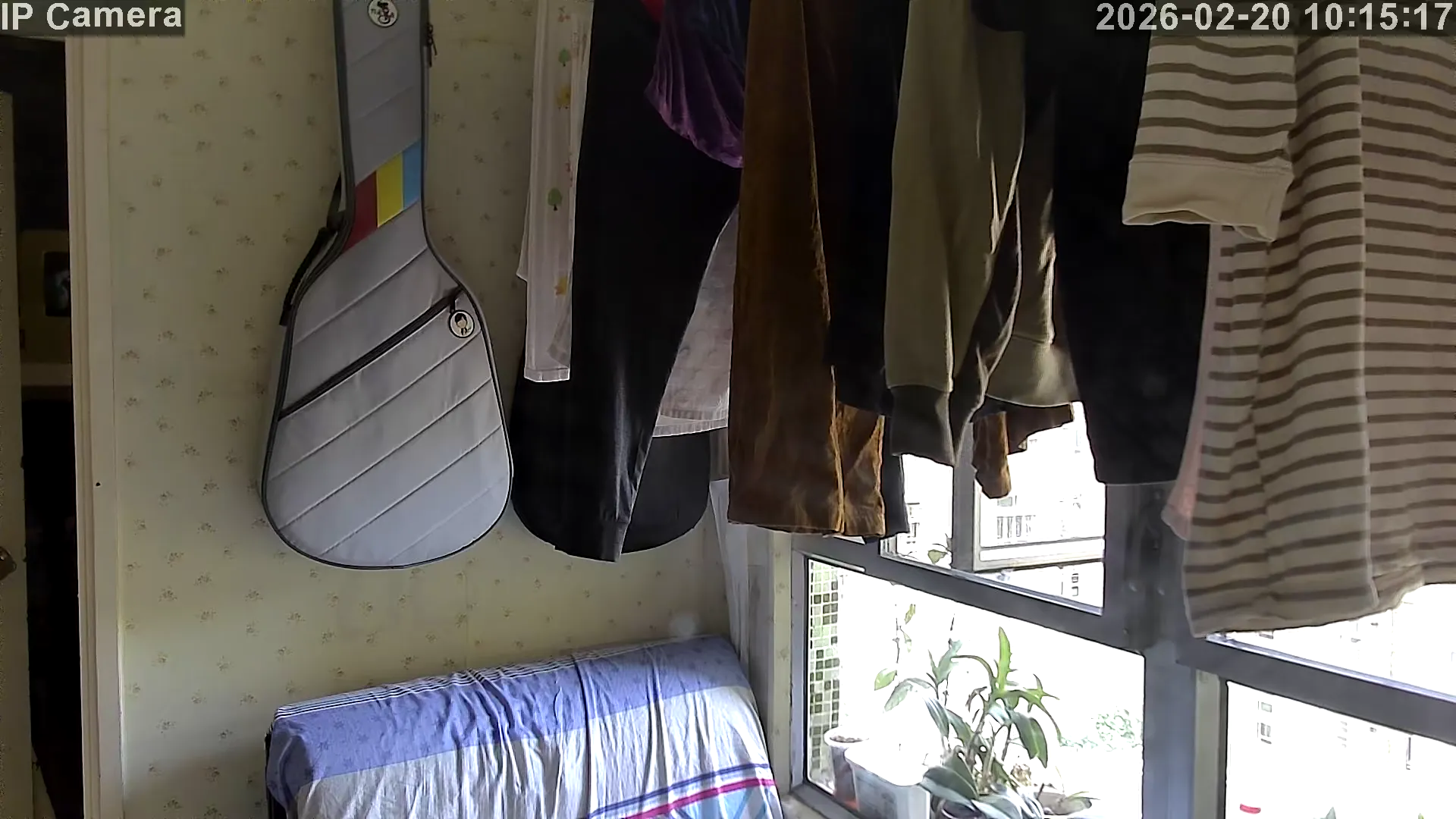 Capture from Feb 20, 2026 at 02:15 AM