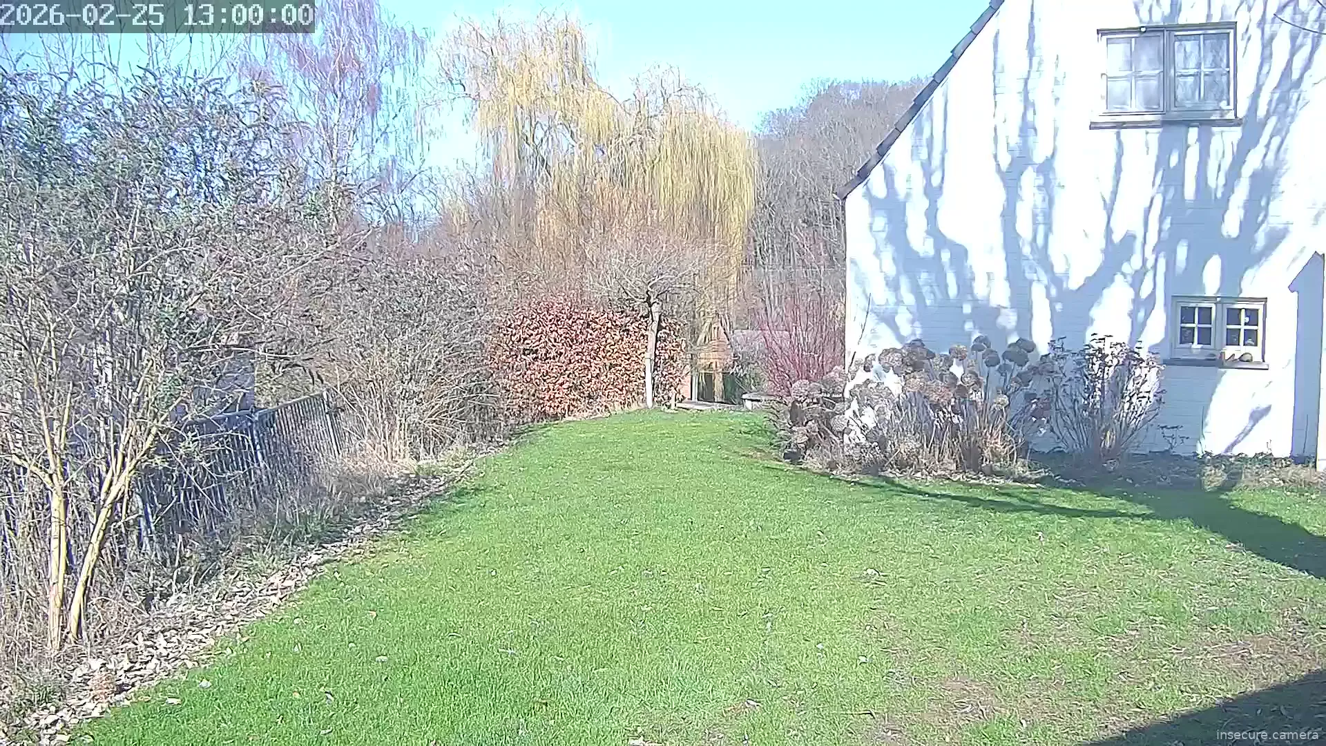 Capture from Feb 25, 2026 at 12:00 PM