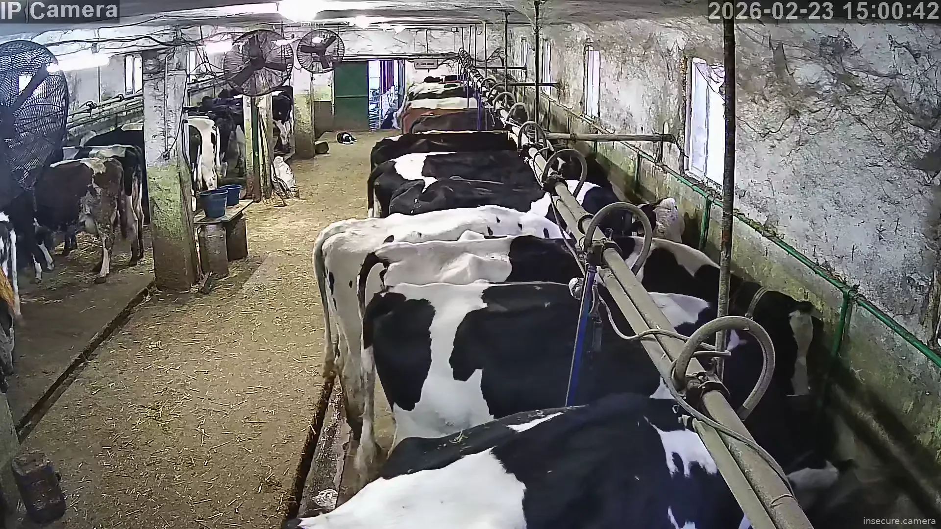 Capture from Feb 23, 2026 at 07:01 AM