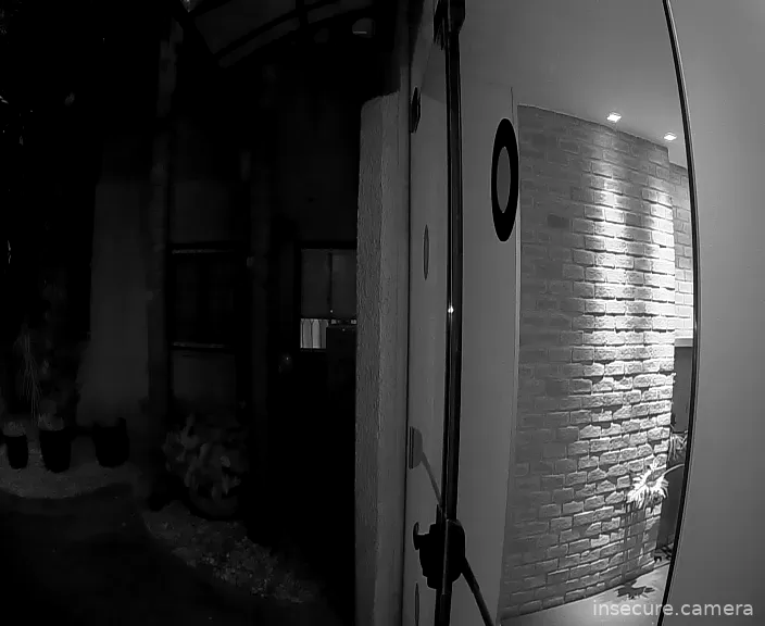 Capture from Feb 21, 2026 at 07:49 PM