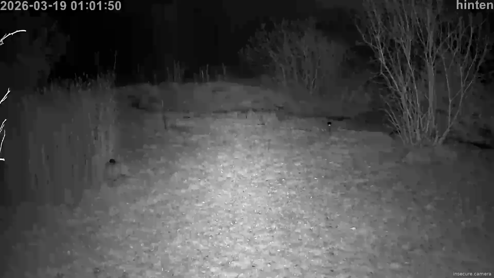 Capture from Mar 19, 2026 at 12:02 AM