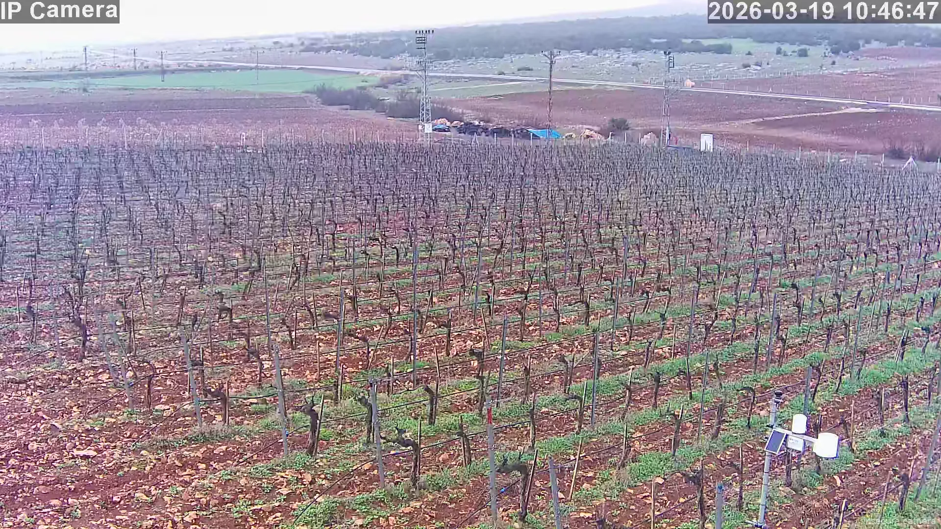 Capture from Mar 19, 2026 at 07:47 AM