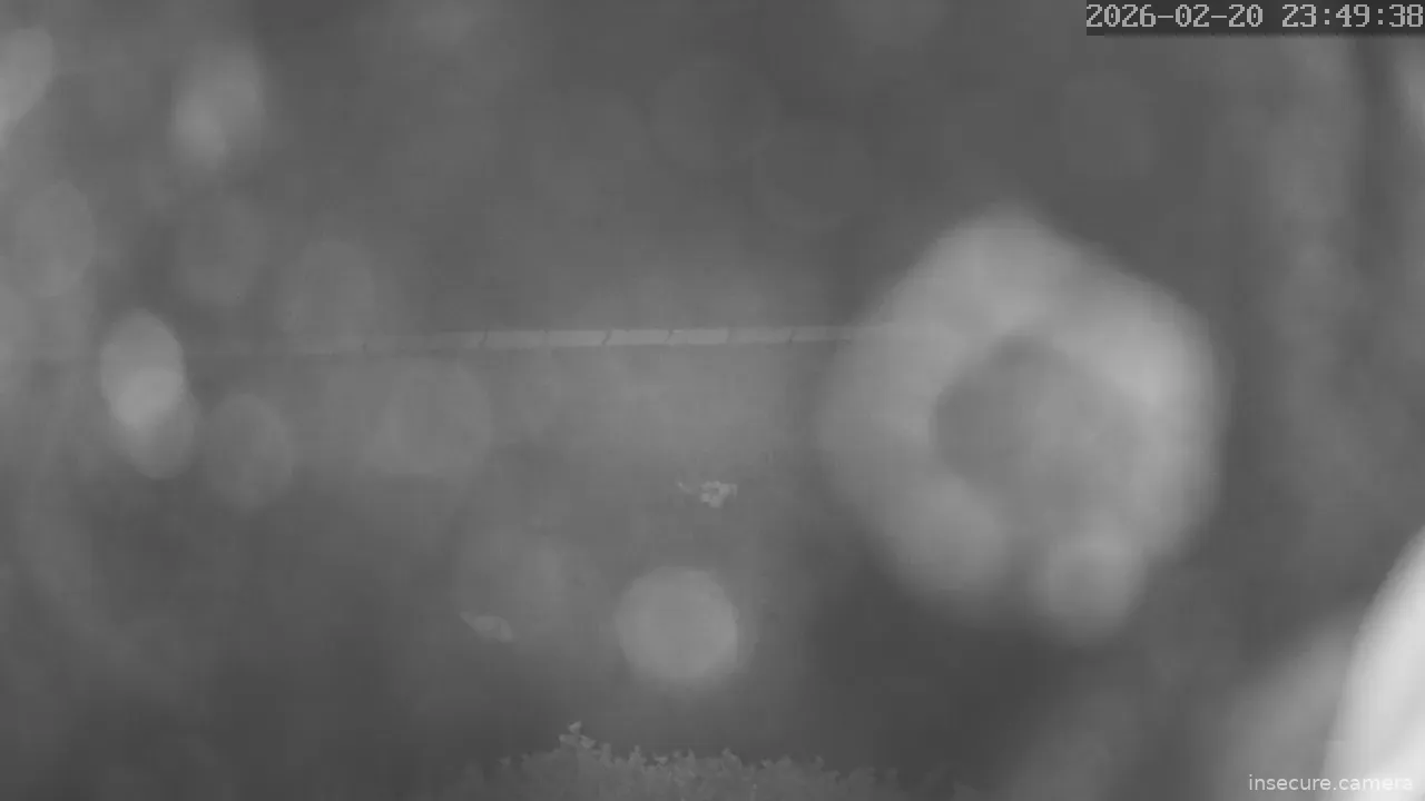 Capture from Feb 21, 2026 at 03:49 AM