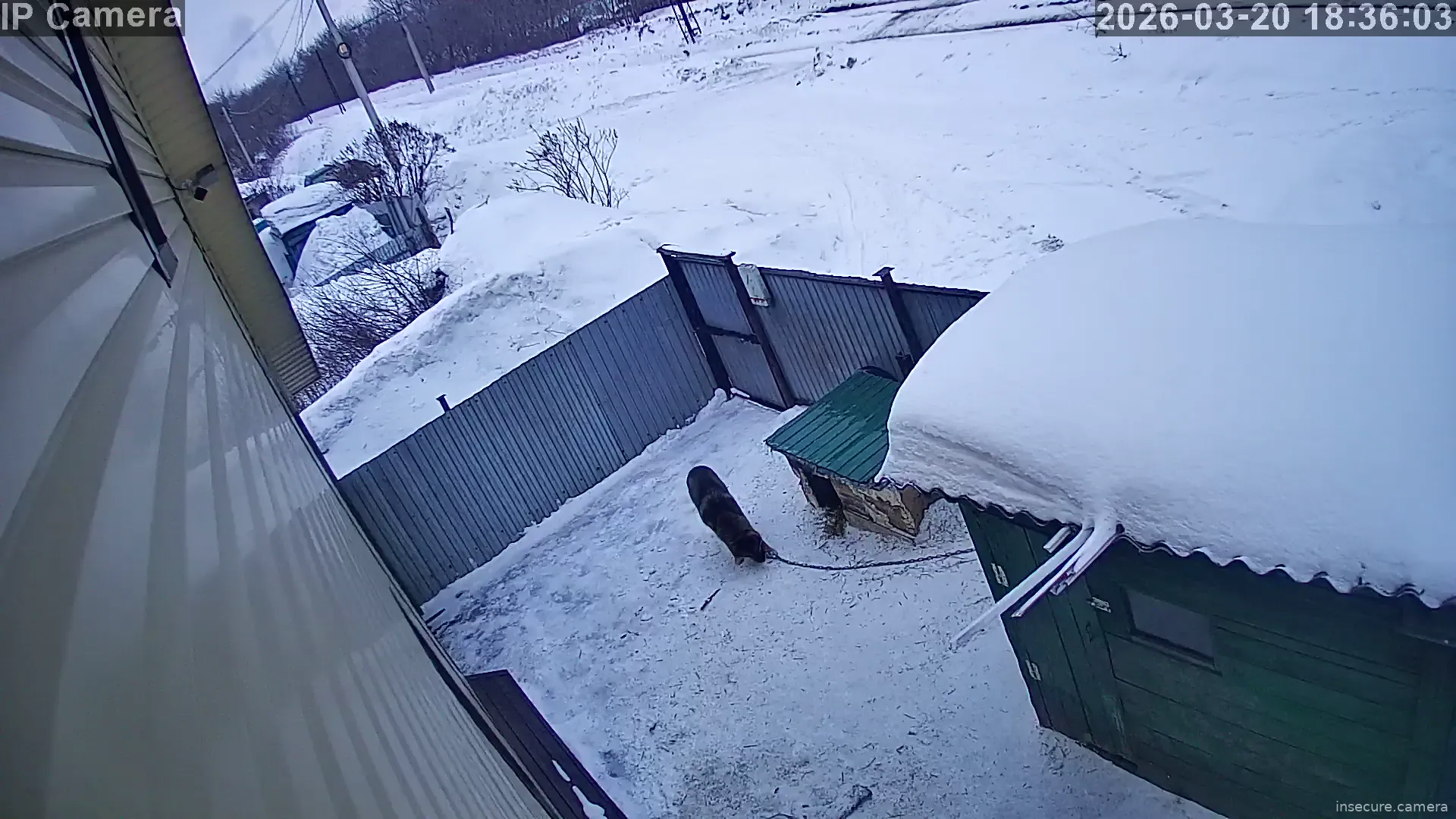 Capture from Mar 20, 2026 at 11:36 AM