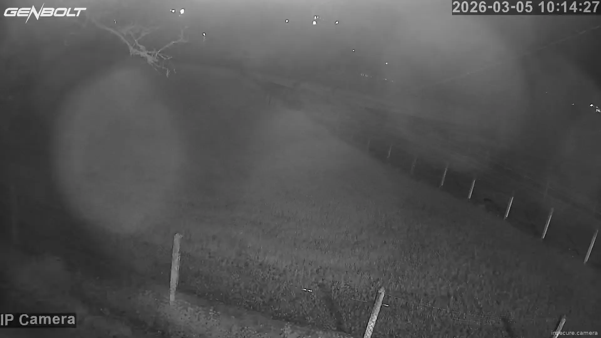 Capture from Mar 05, 2026 at 02:14 AM