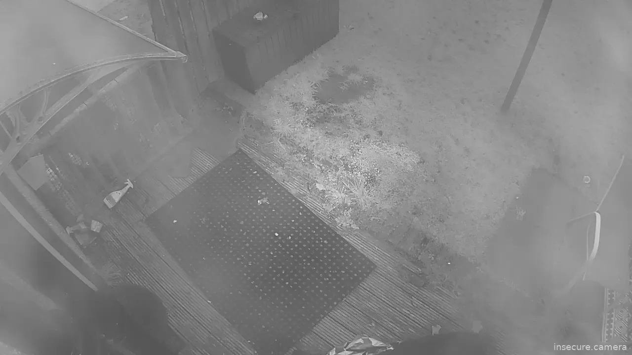 Capture from Feb 19, 2026 at 05:50 PM