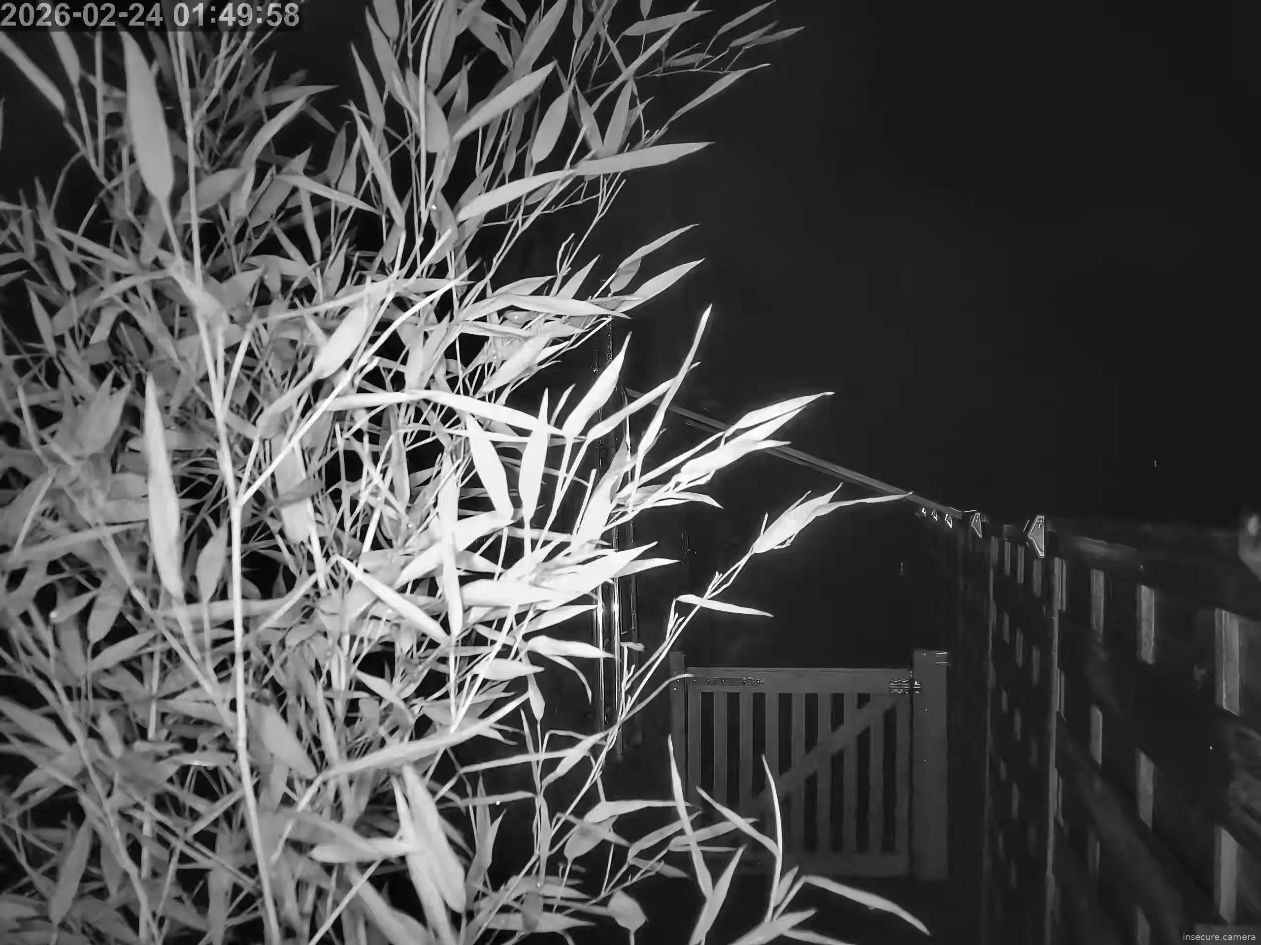 Capture from Feb 24, 2026 at 12:50 AM