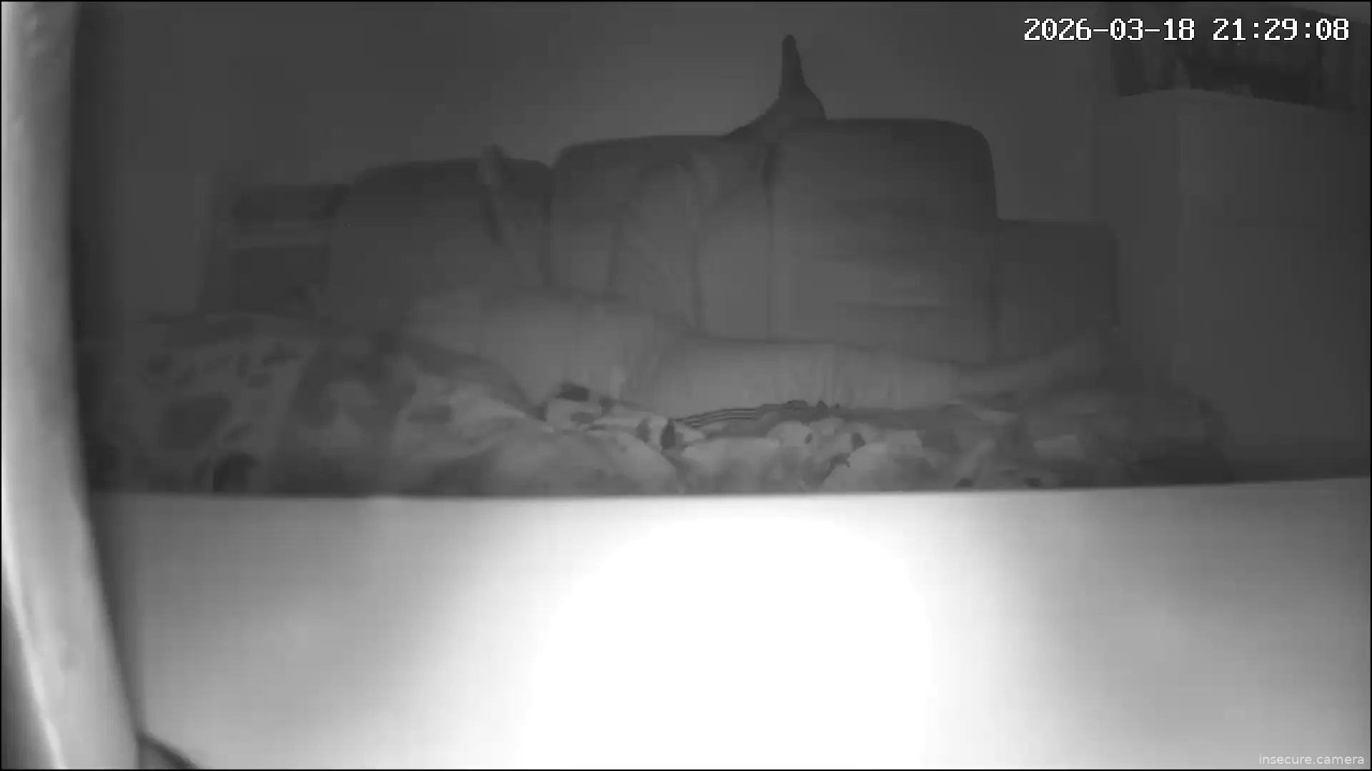 Capture from Mar 18, 2026 at 01:29 PM