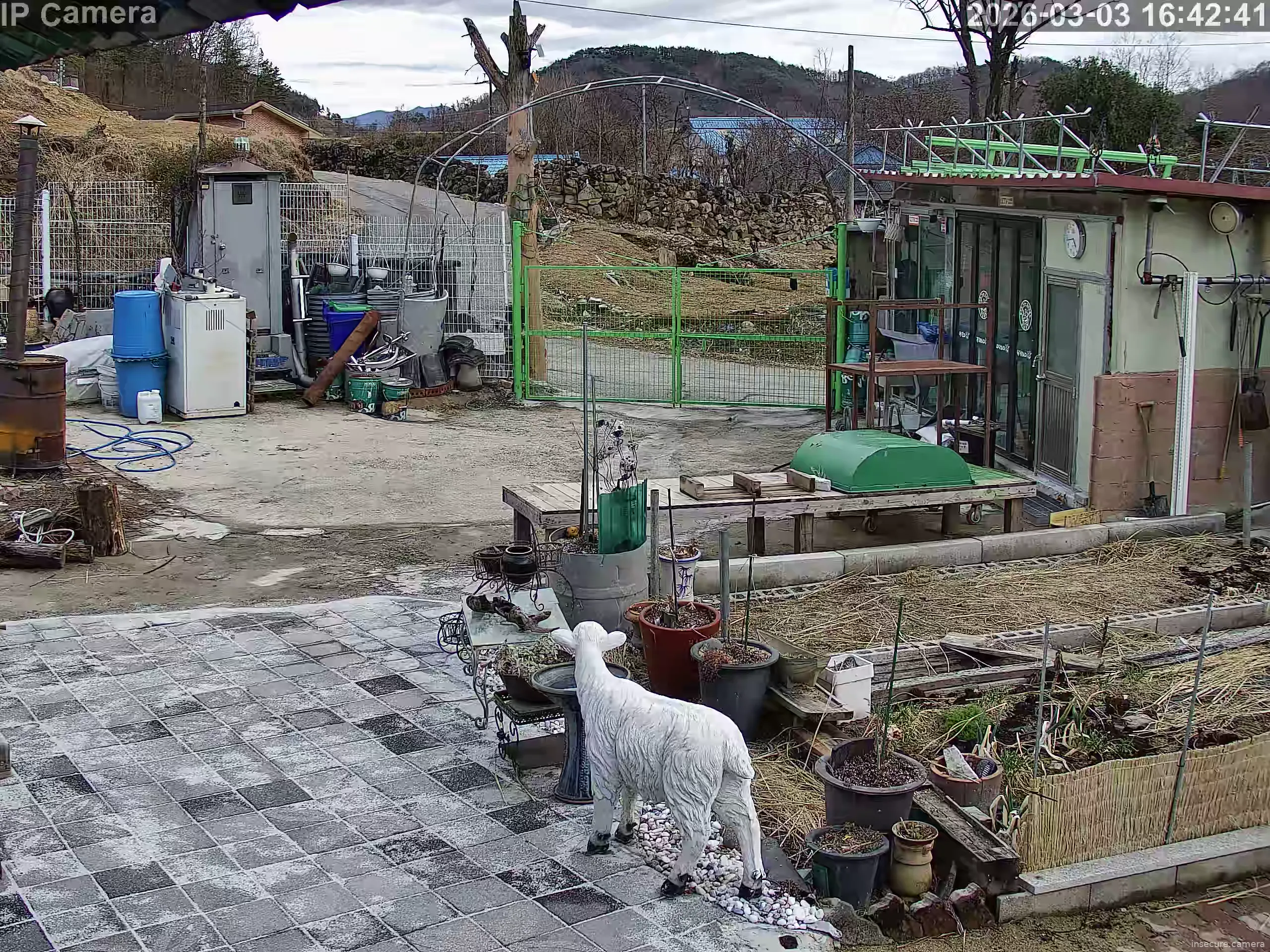 Capture from Mar 03, 2026 at 07:43 AM