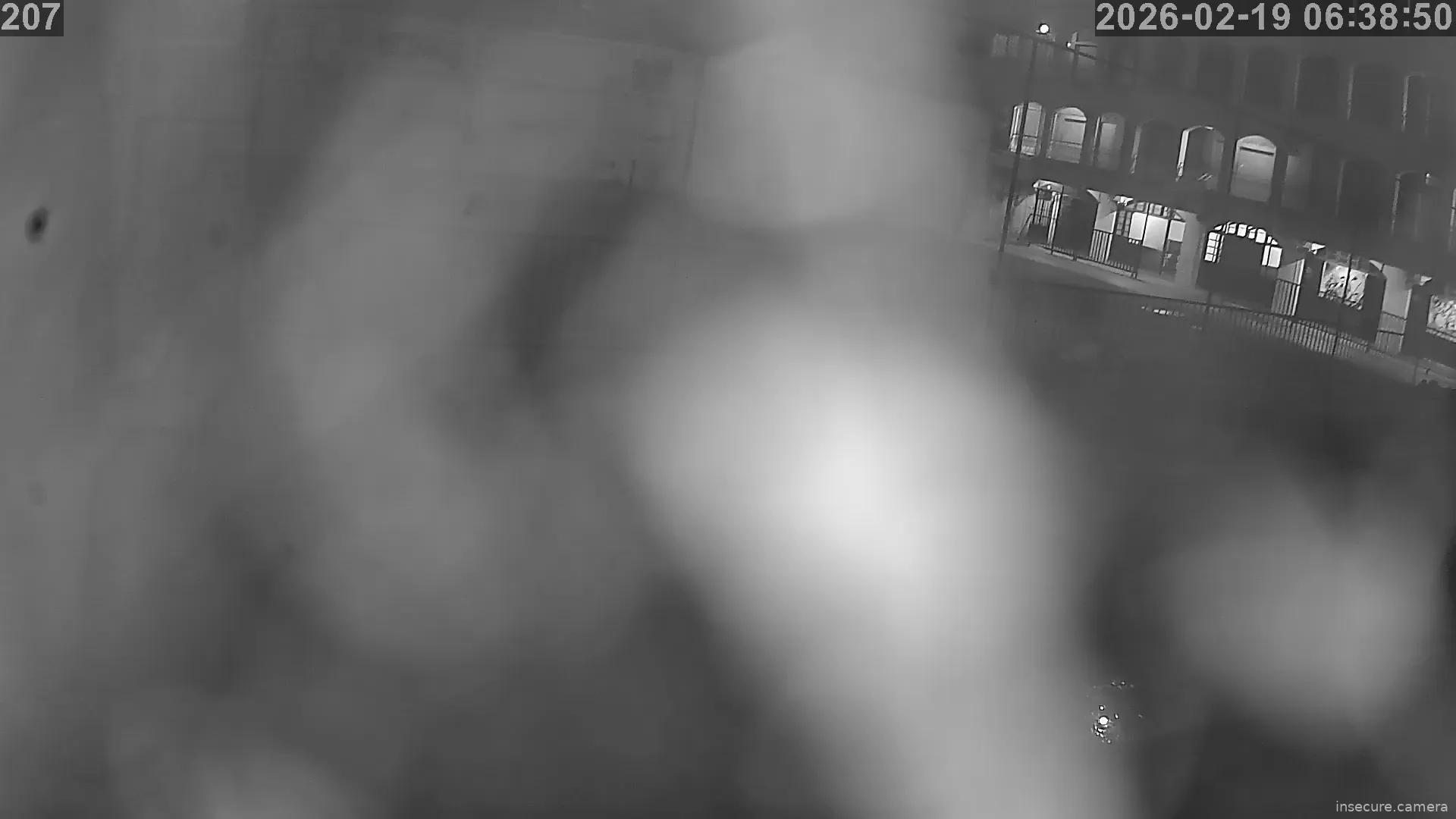 Capture from Feb 19, 2026 at 01:09 AM