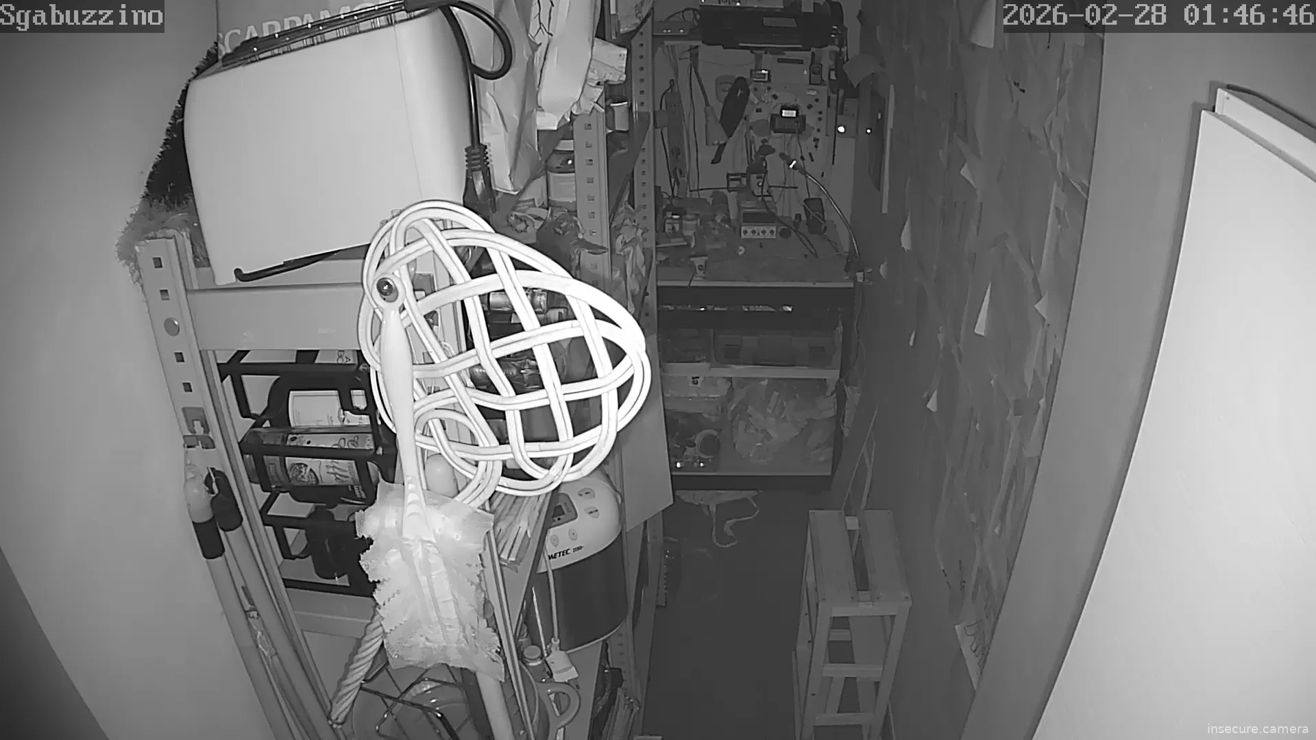 Capture from Feb 28, 2026 at 12:46 AM