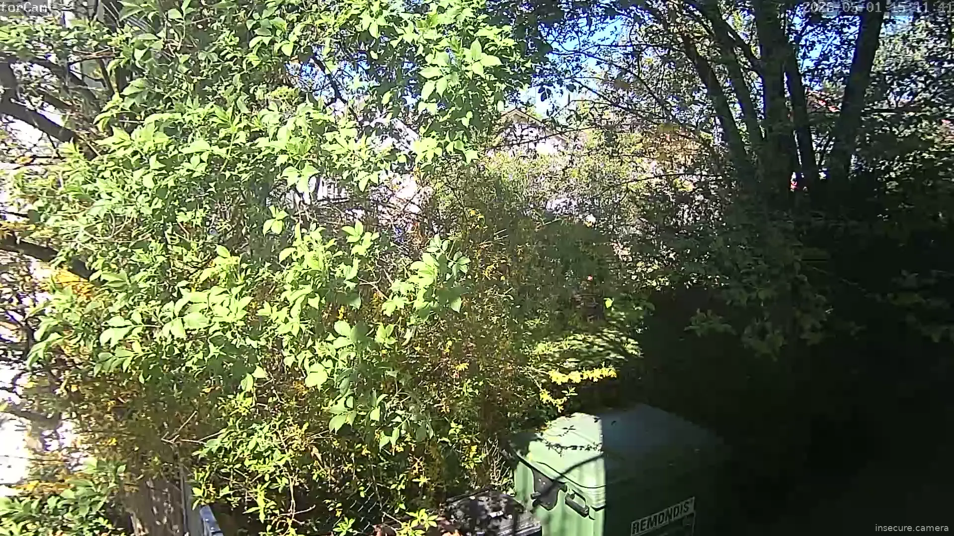 Camera in Germany