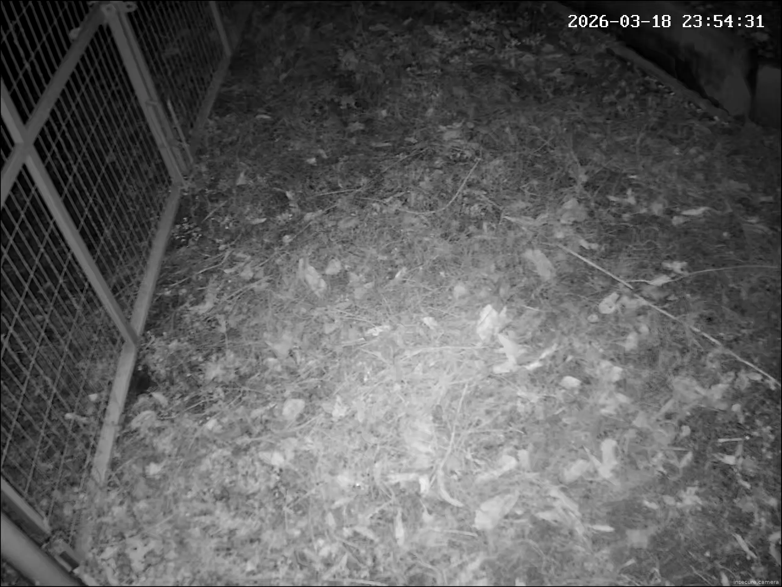 Capture from Mar 18, 2026 at 03:54 PM