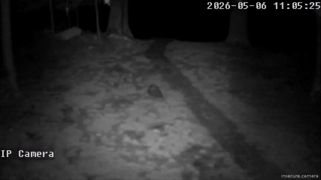 Capture from May 06, 2026 at 03:05 AM