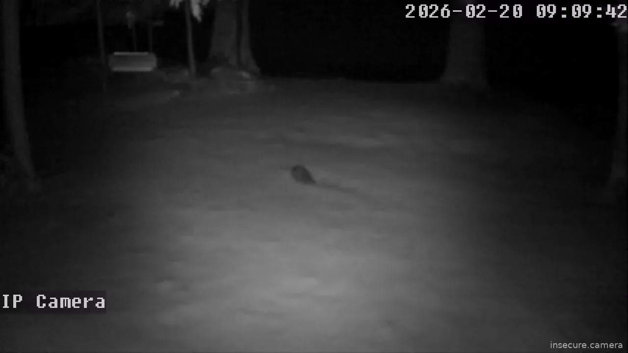 Capture from Feb 20, 2026 at 01:10 AM