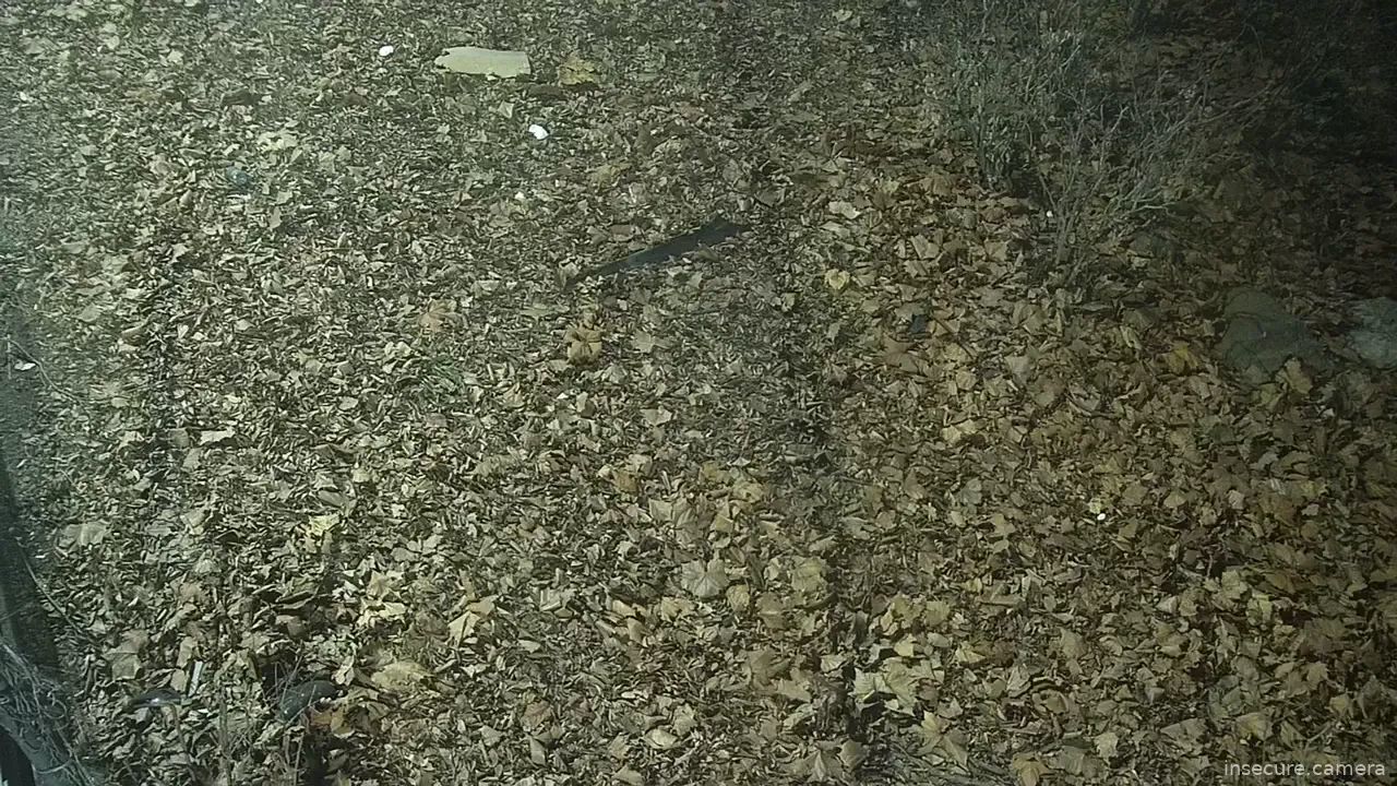 Camera in South Korea