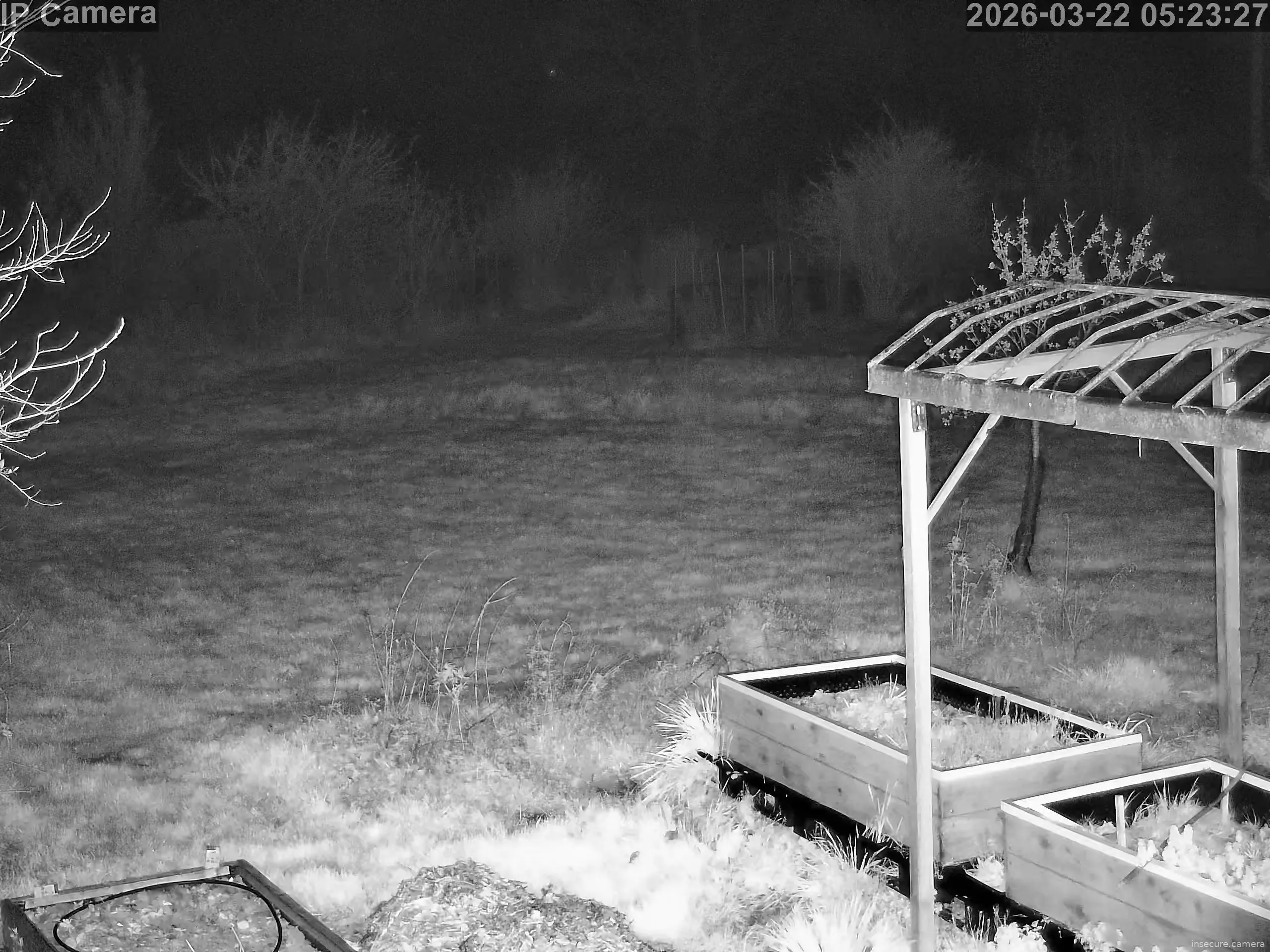 Capture from Mar 22, 2026 at 03:23 AM