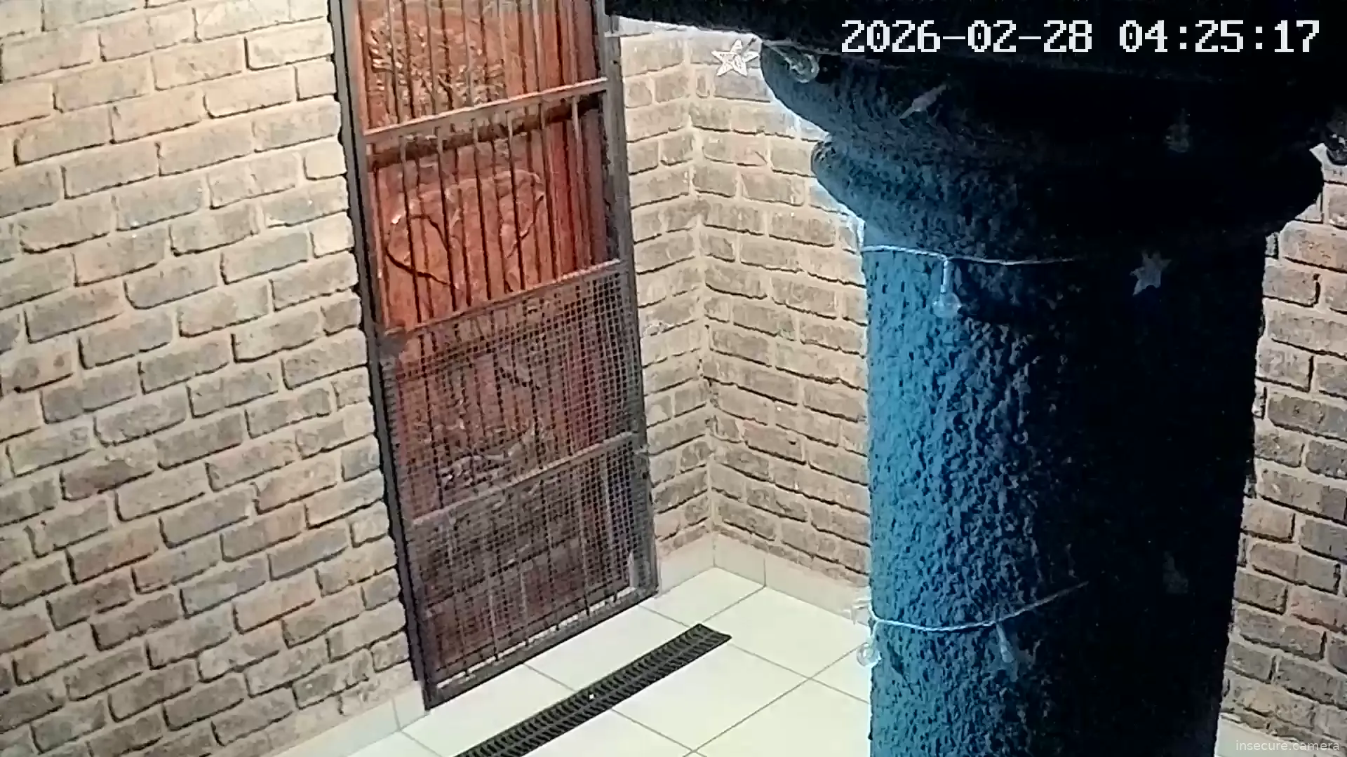 Camera in South Africa