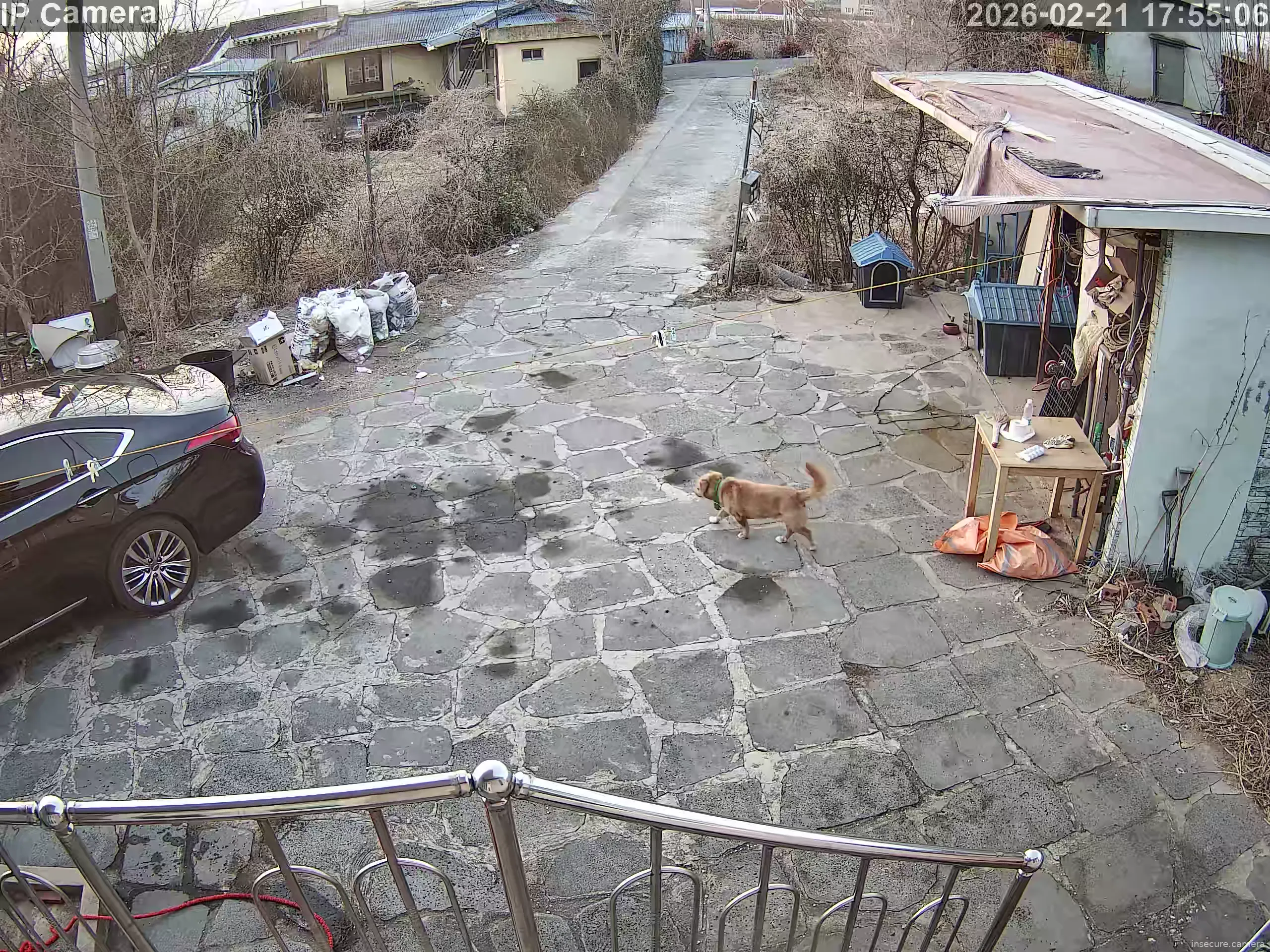 Capture from Feb 21, 2026 at 08:55 AM