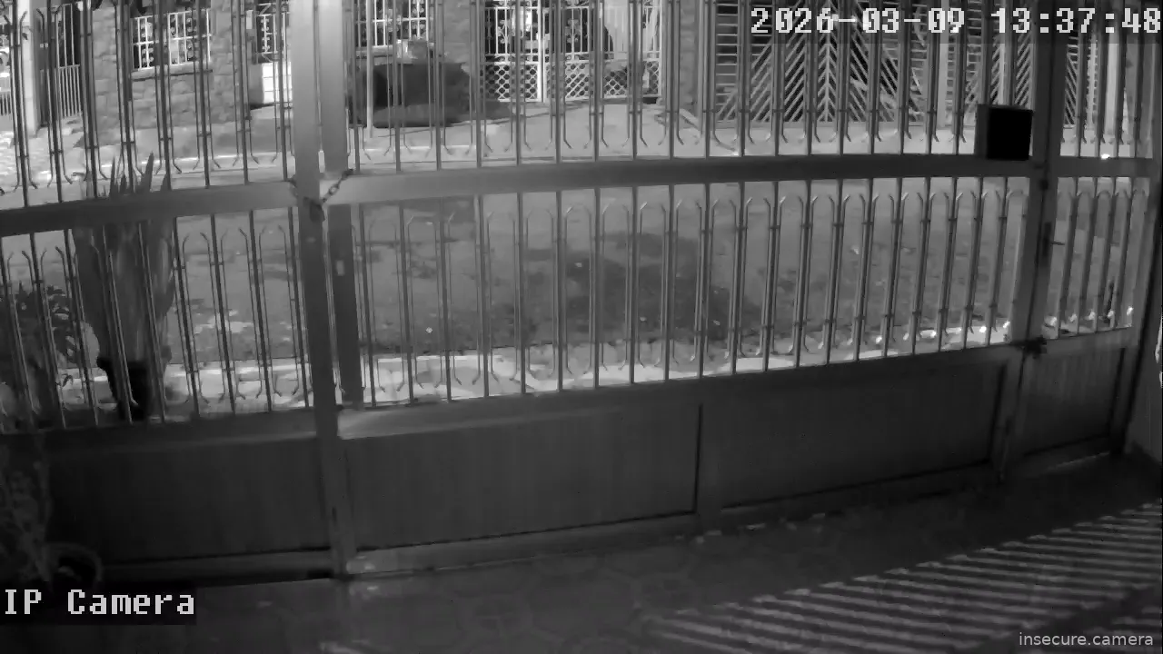 Capture from Mar 09, 2026 at 05:38 AM