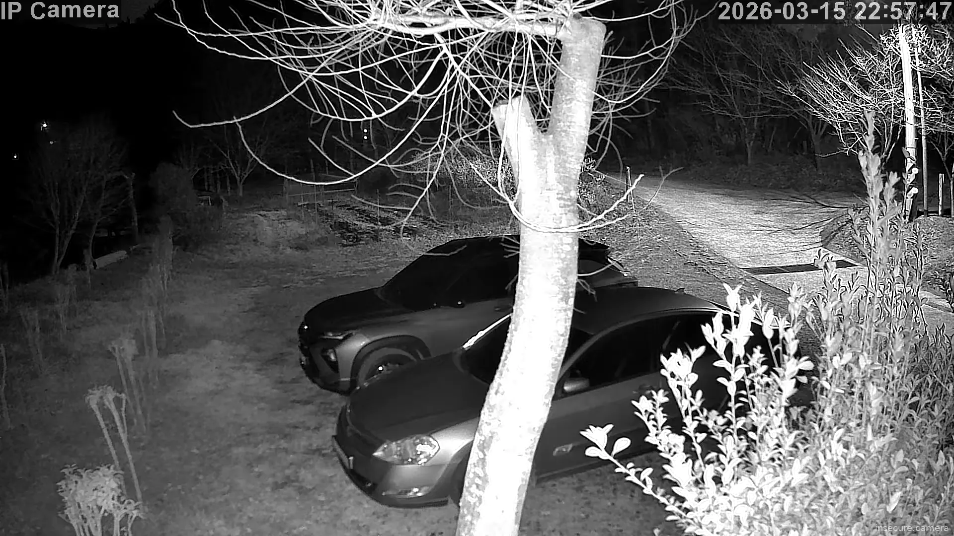 Capture from Mar 15, 2026 at 02:58 PM