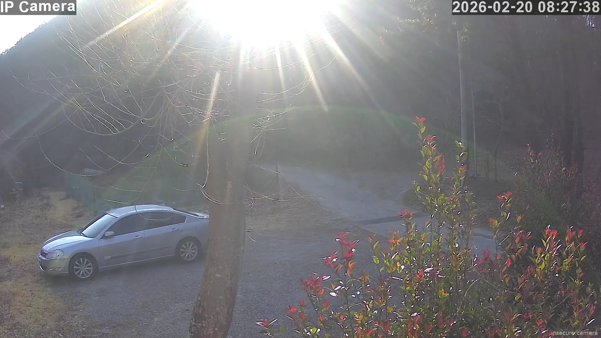 Capture from Feb 20, 2026 at 12:28 AM