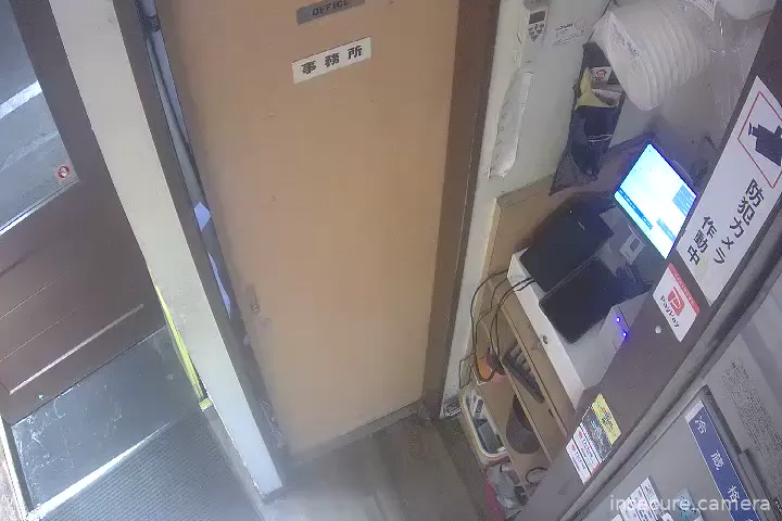 Camera in Japan