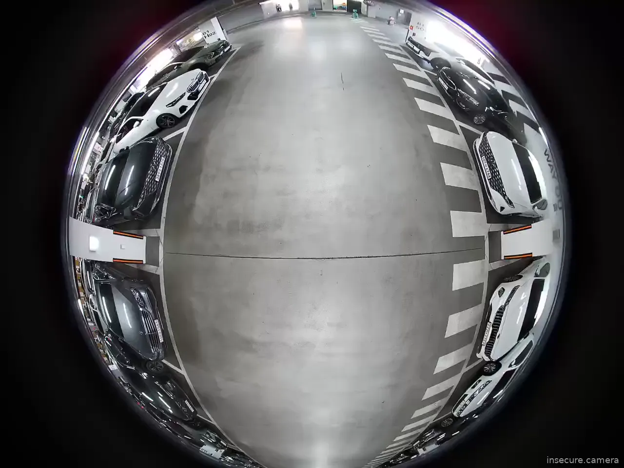 Capture from Feb 19, 2026 at 01:13 AM