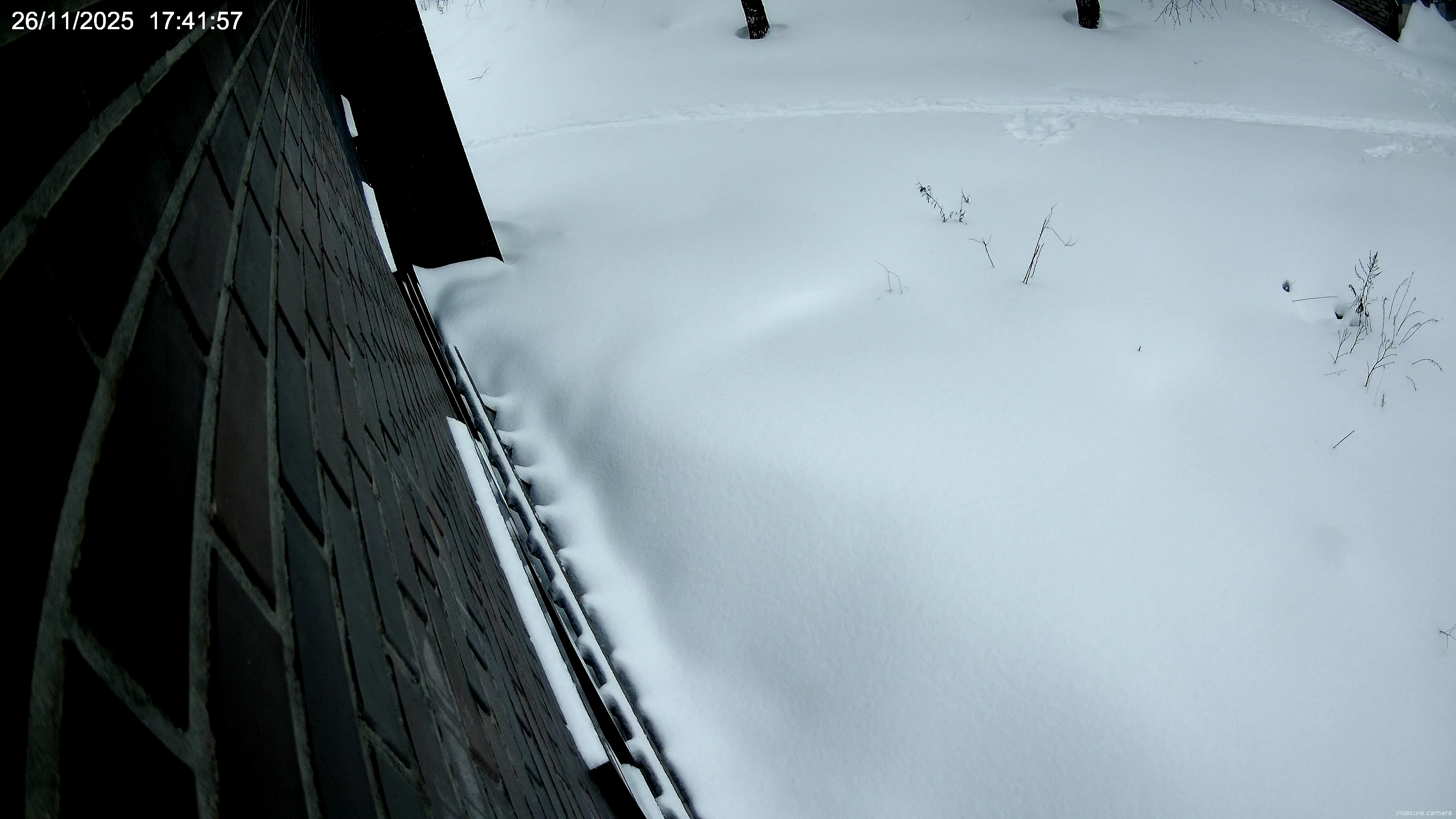 Capture from Feb 20, 2026 at 05:03 AM