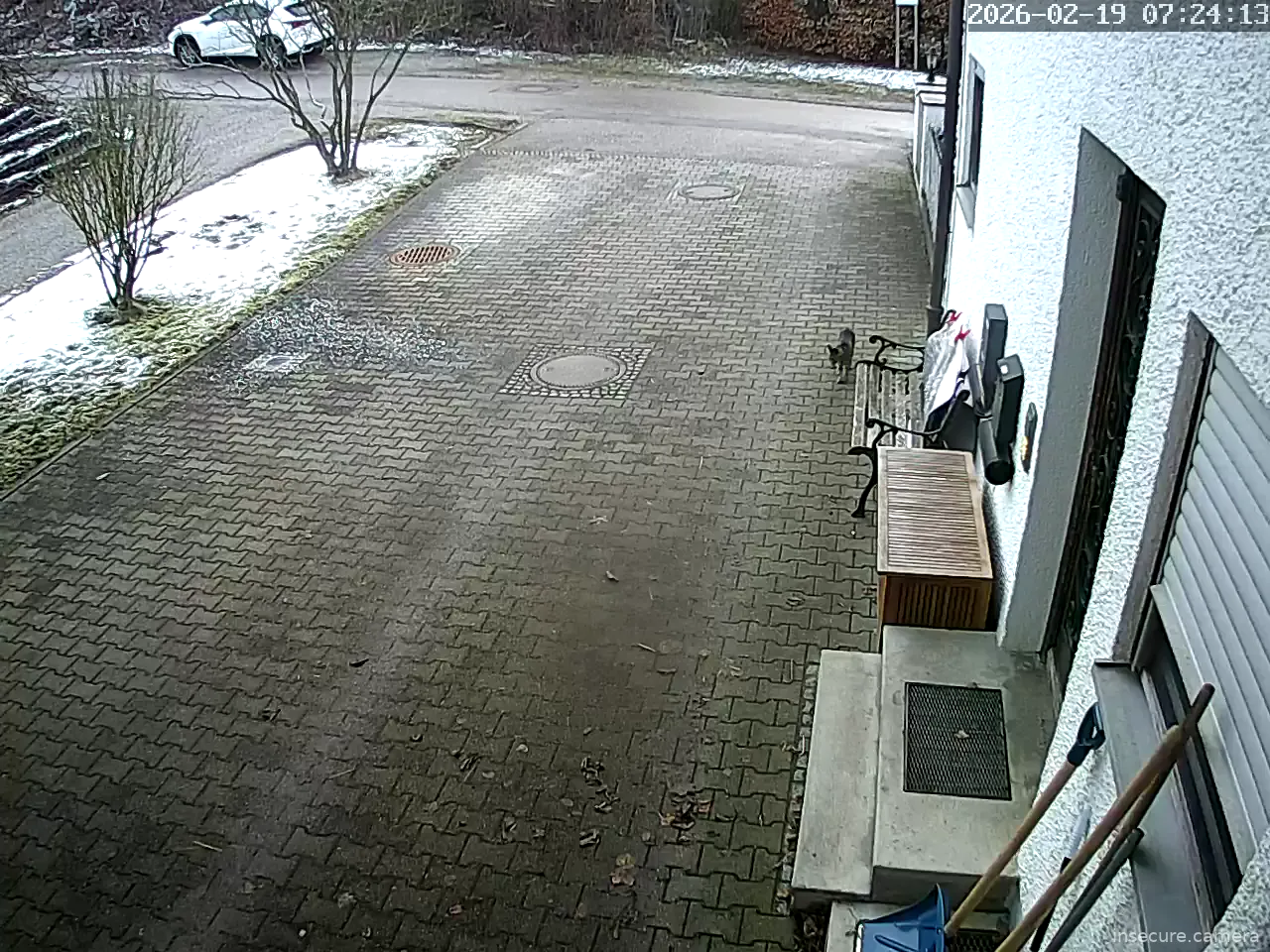 Capture from Feb 19, 2026 at 06:24 AM