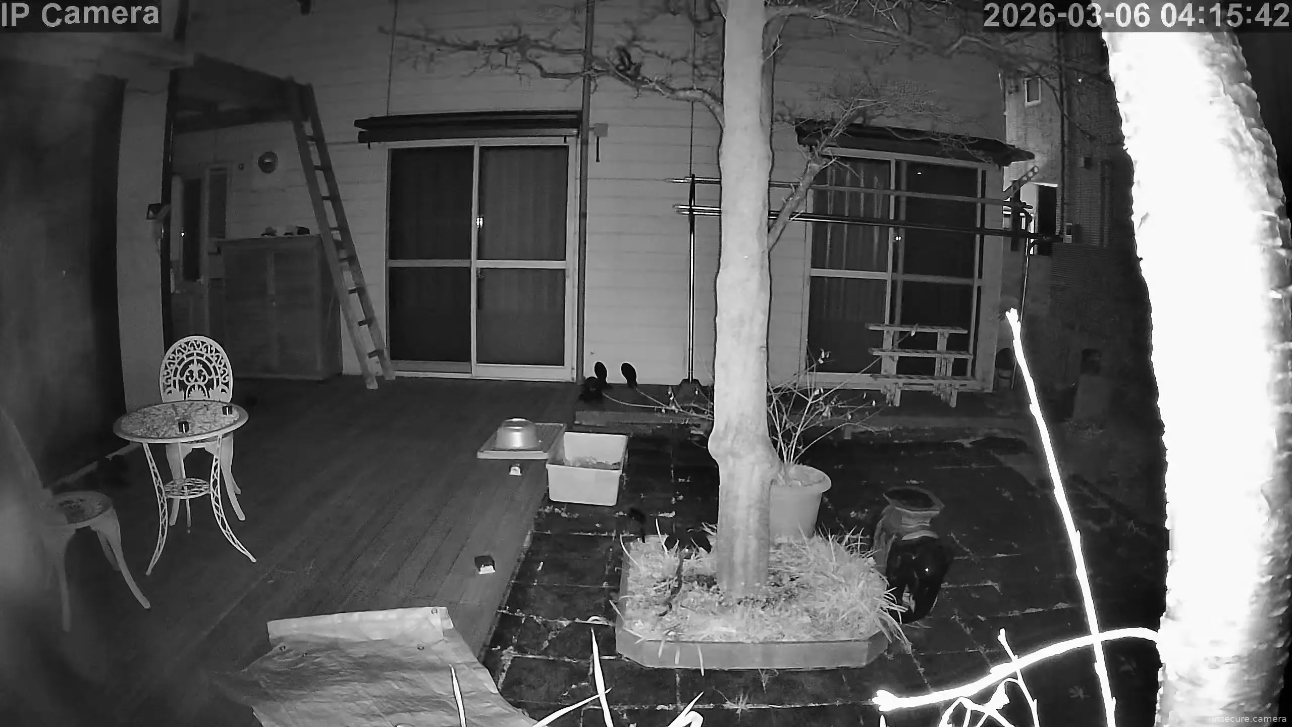 Capture from Mar 05, 2026 at 07:16 PM