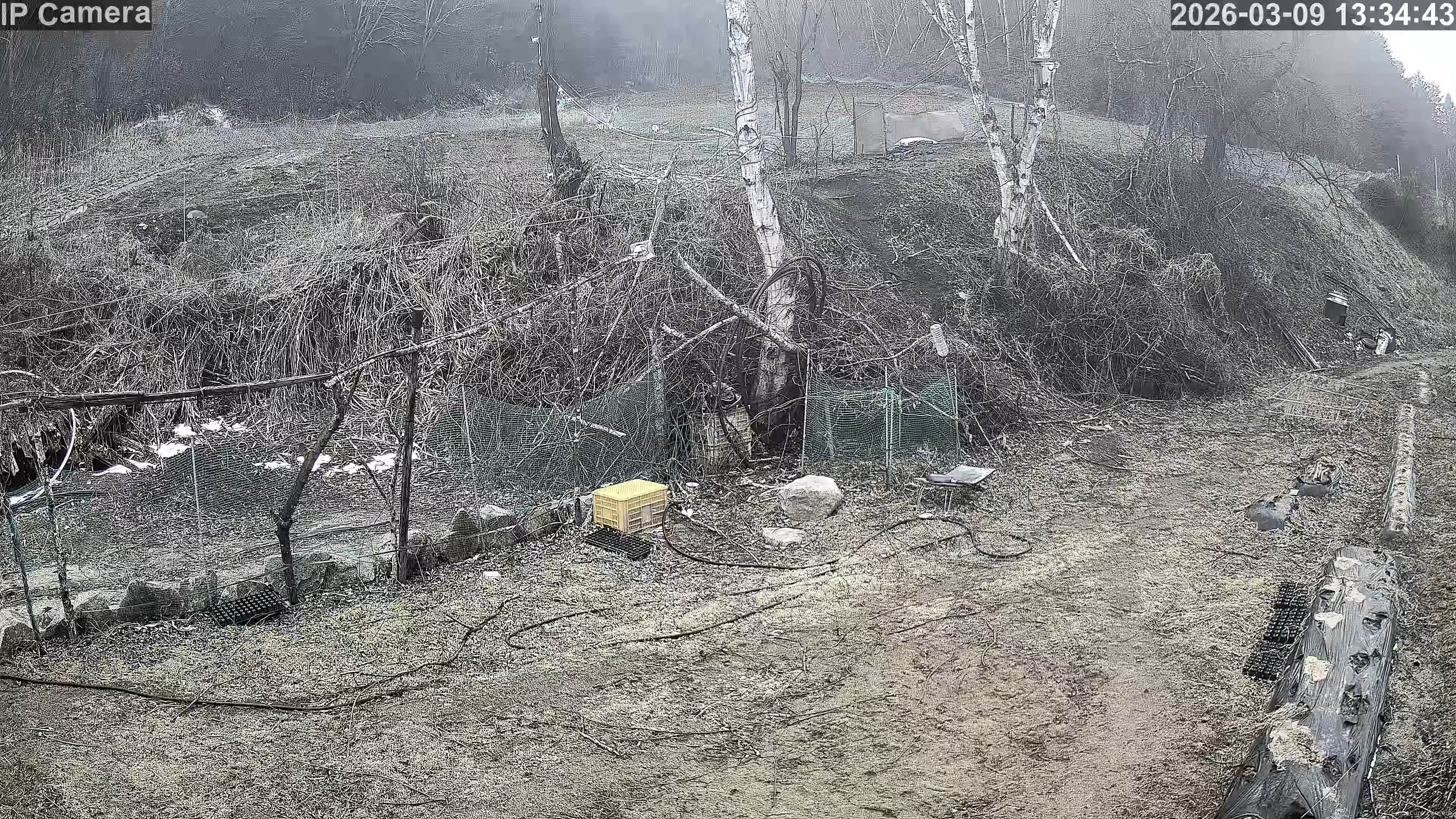 Capture from Mar 09, 2026 at 04:36 AM