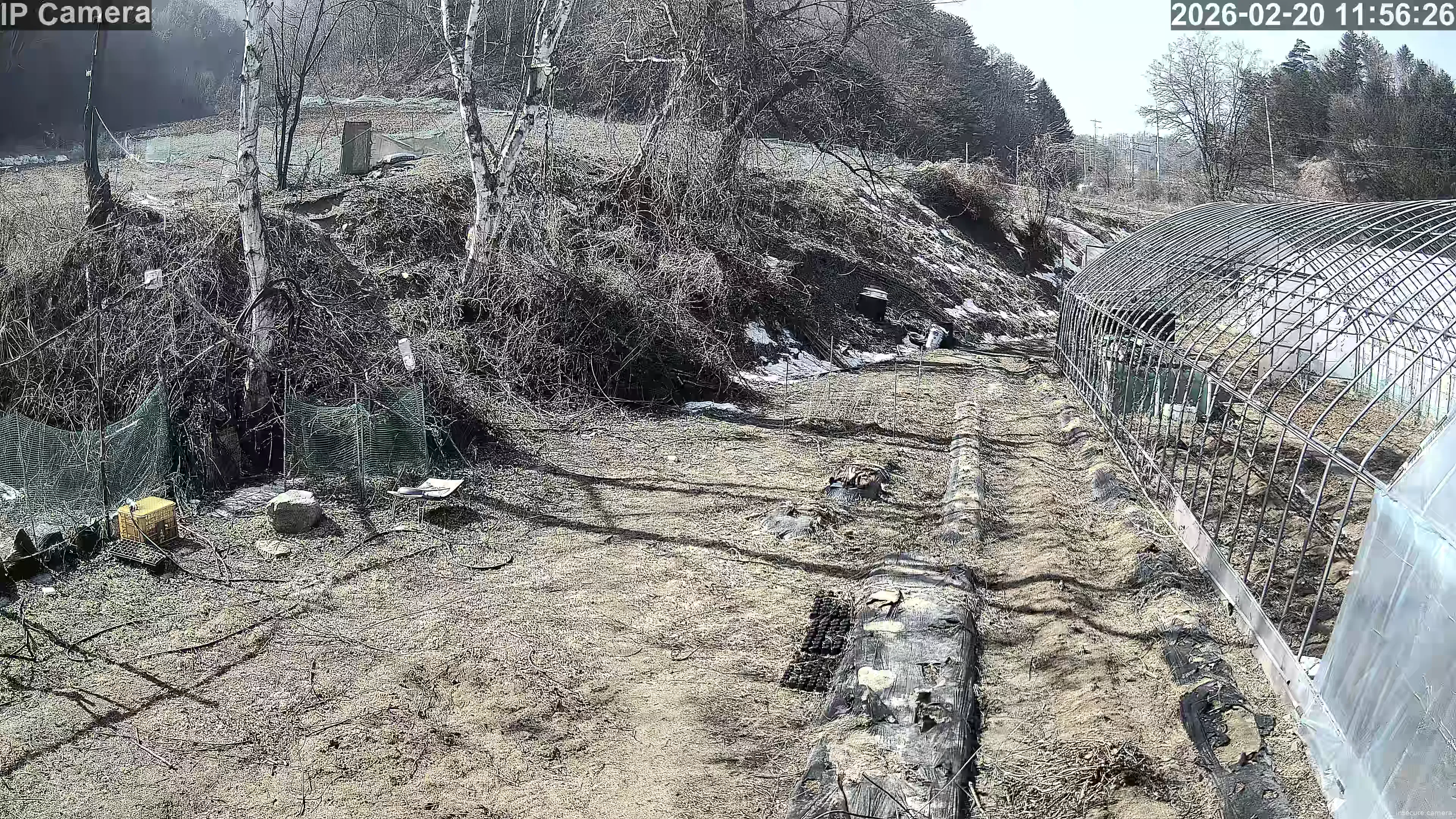 Capture from Feb 20, 2026 at 02:57 AM