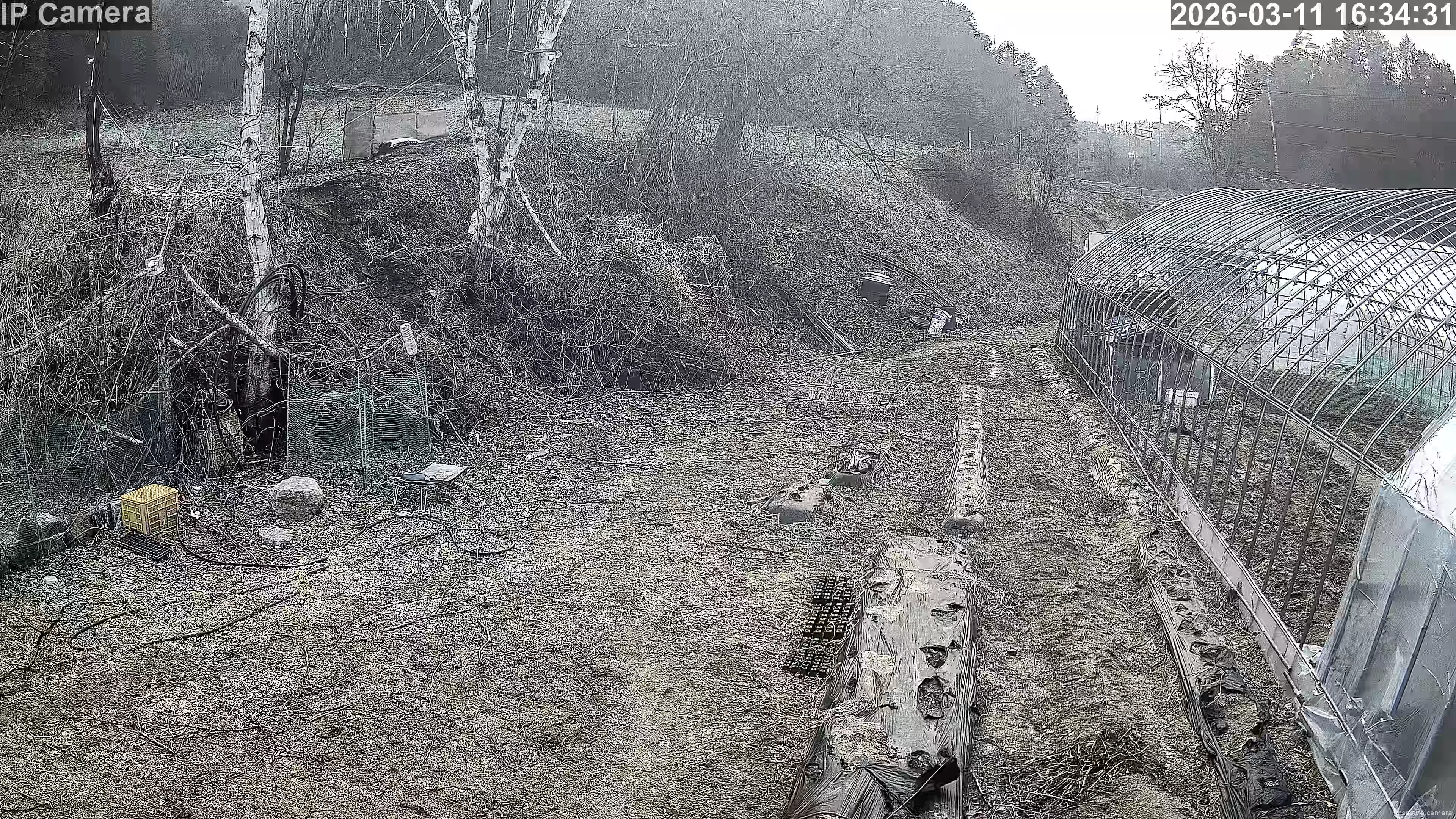 Camera in South Korea