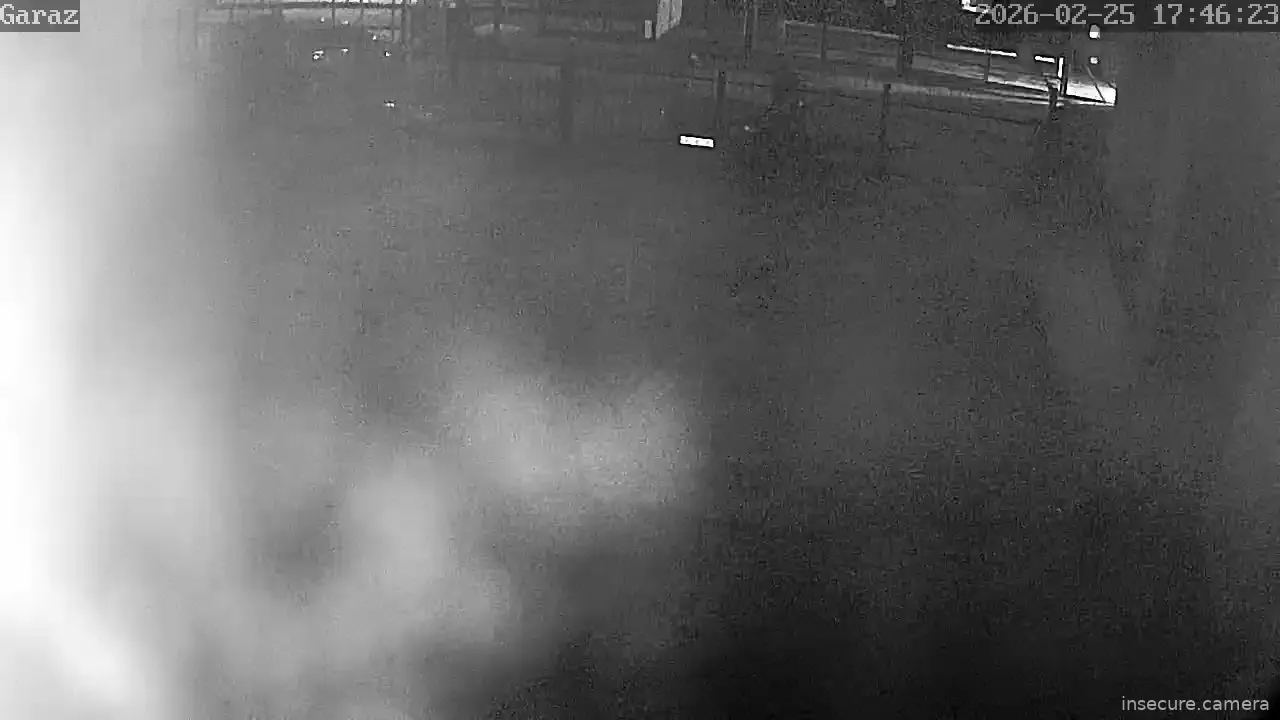 Capture from Feb 25, 2026 at 04:46 PM