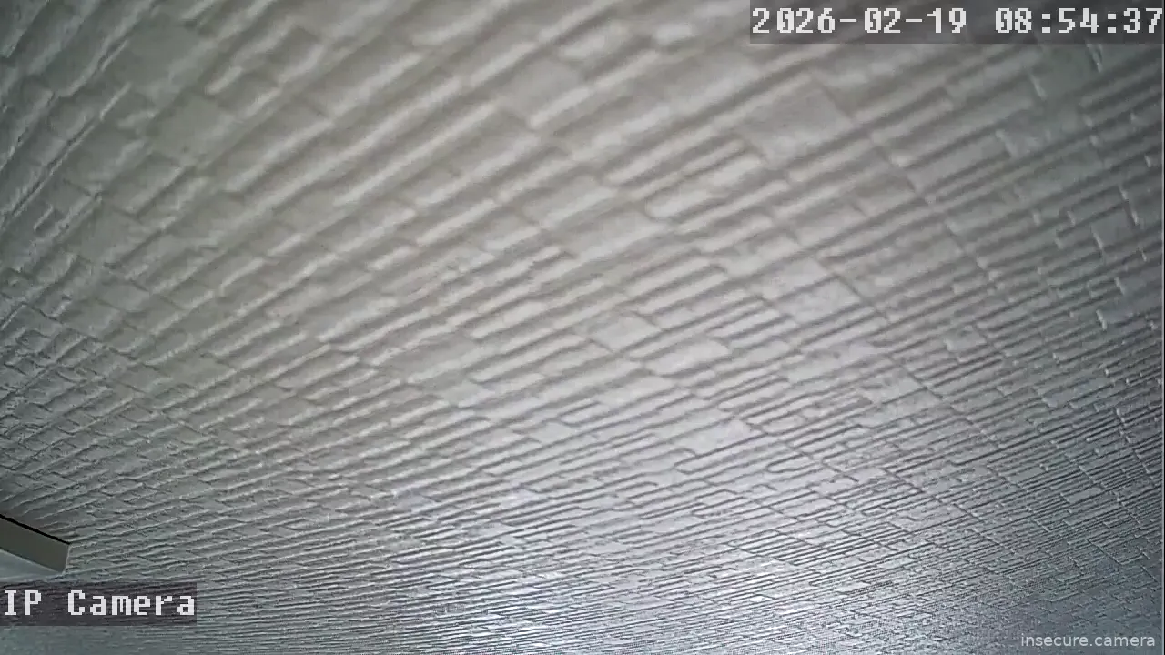 Capture from Feb 19, 2026 at 12:55 AM