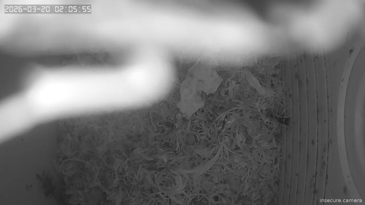 Capture from Mar 20, 2026 at 01:06 AM