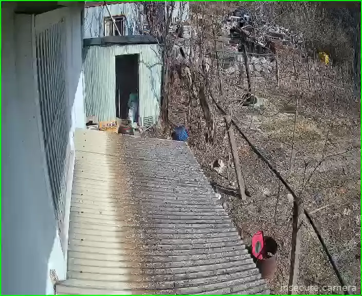 Camera in South Korea