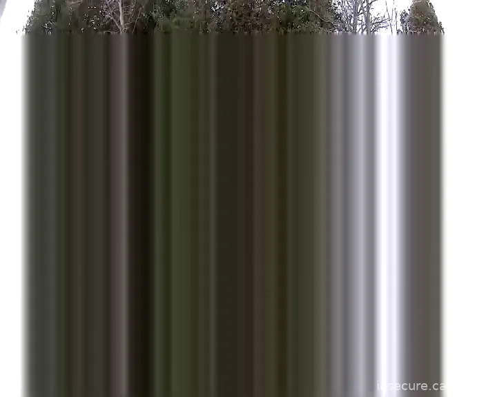 Capture from Feb 19, 2026 at 06:06 PM