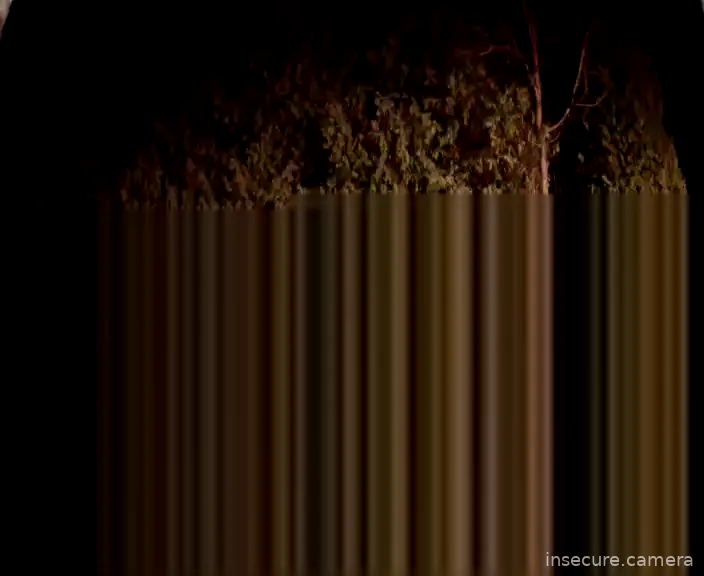 Capture from Mar 11, 2026 at 11:00 AM