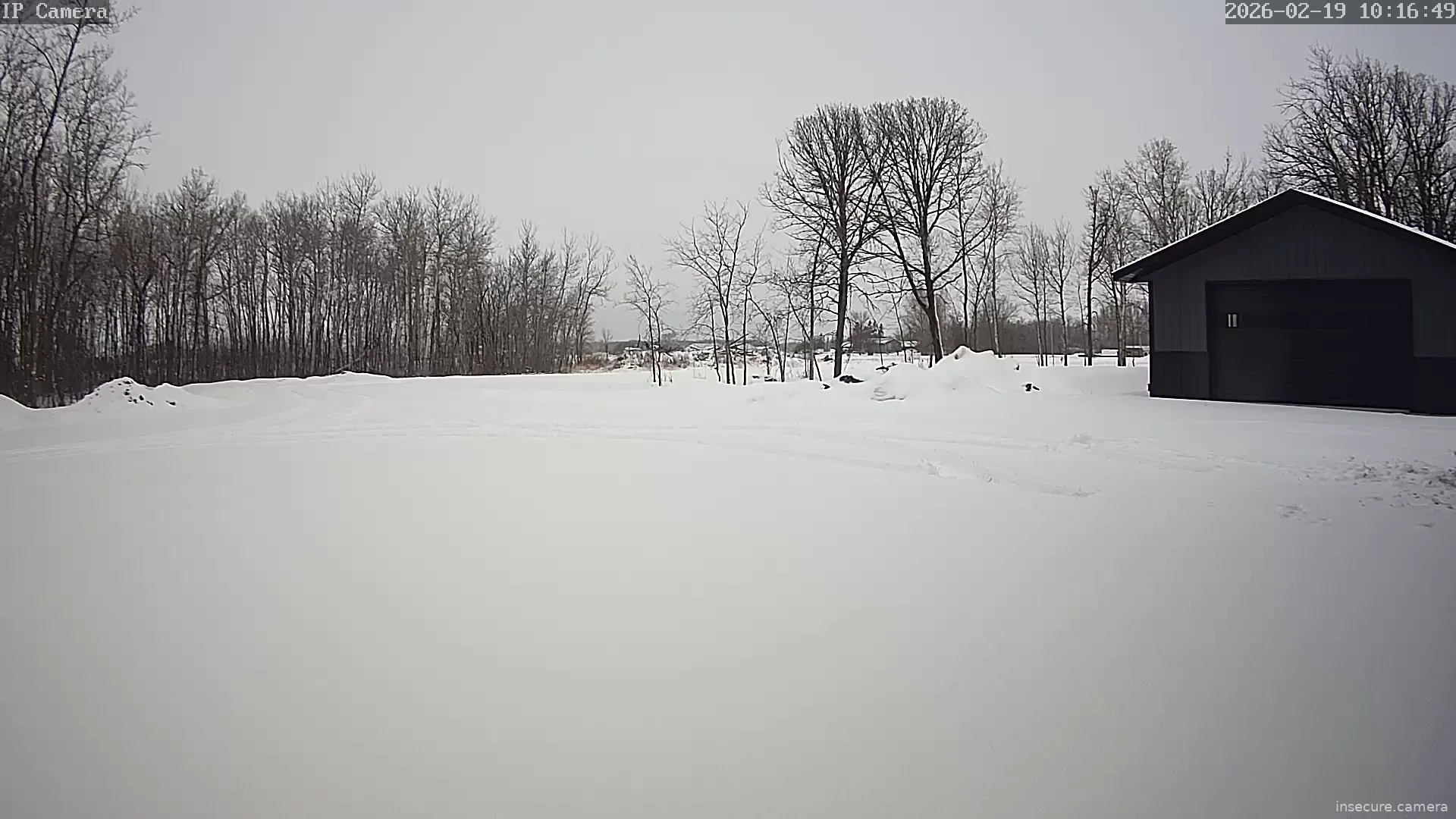 Capture from Feb 19, 2026 at 04:17 PM