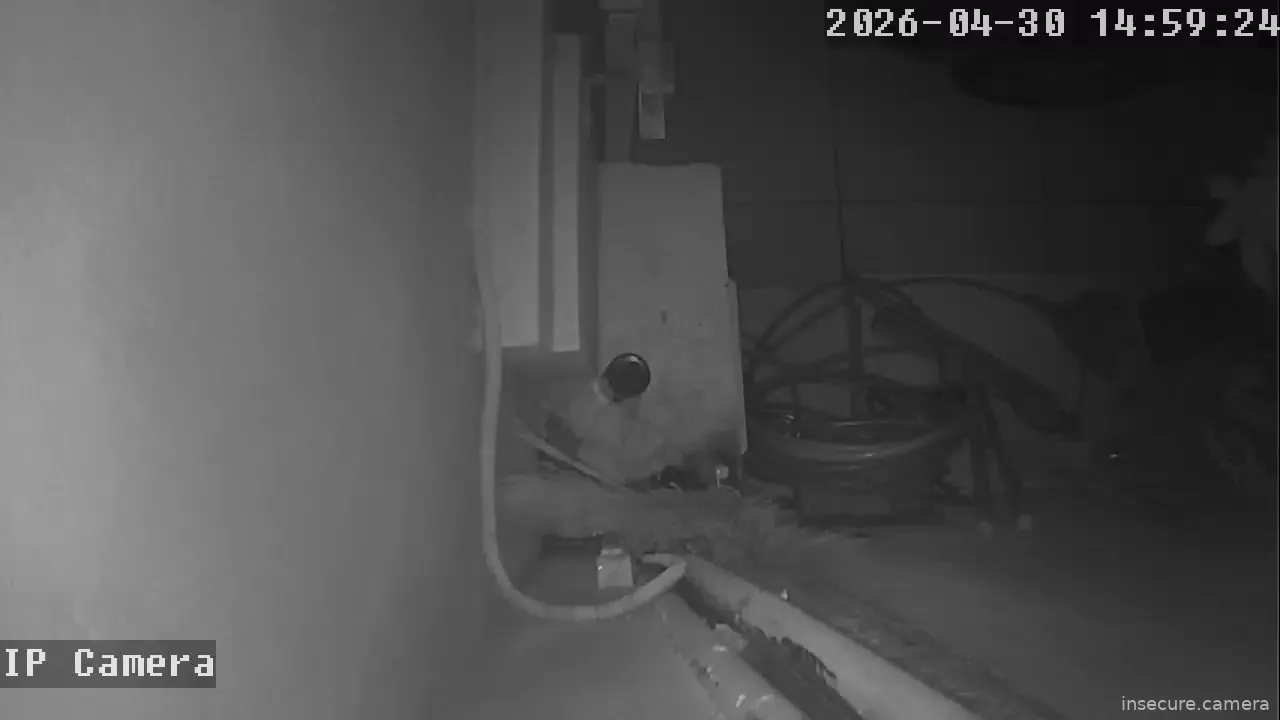 Camera in Brazil
