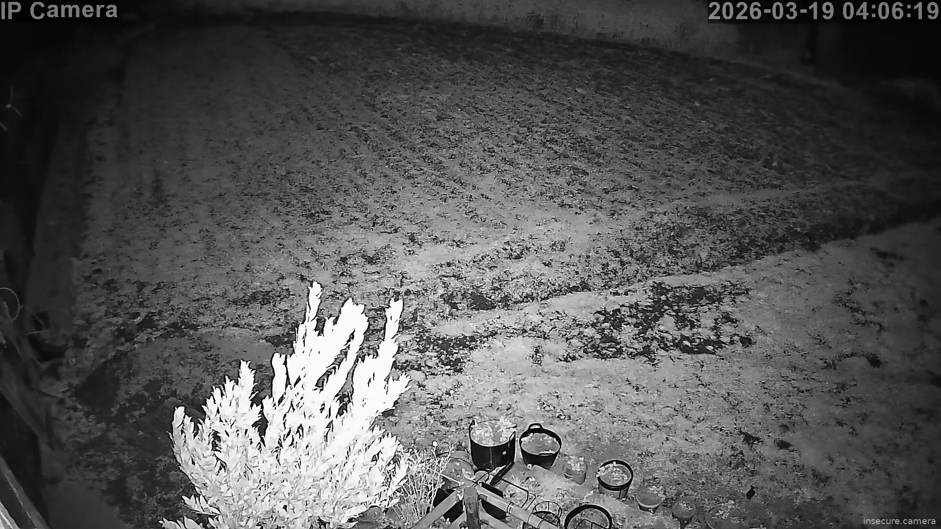 Capture from Mar 19, 2026 at 03:06 AM