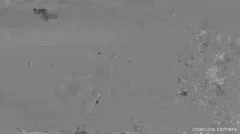 Capture from Mar 19, 2026 at 11:21 AM