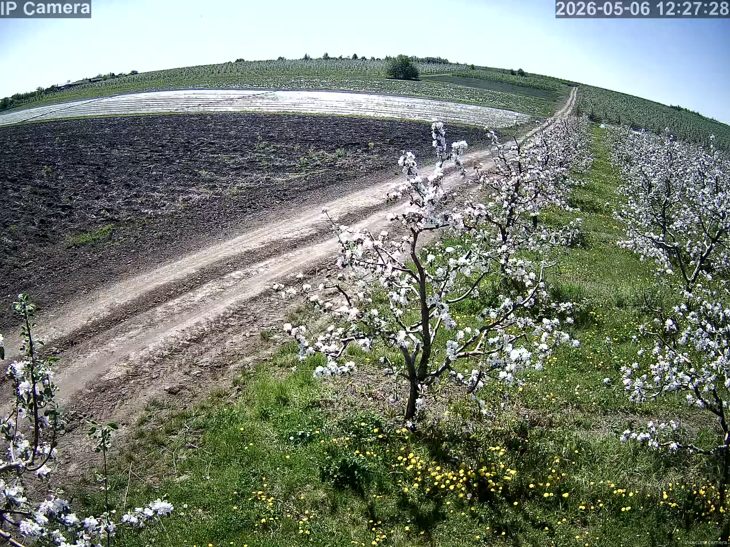 Camera in Moldova