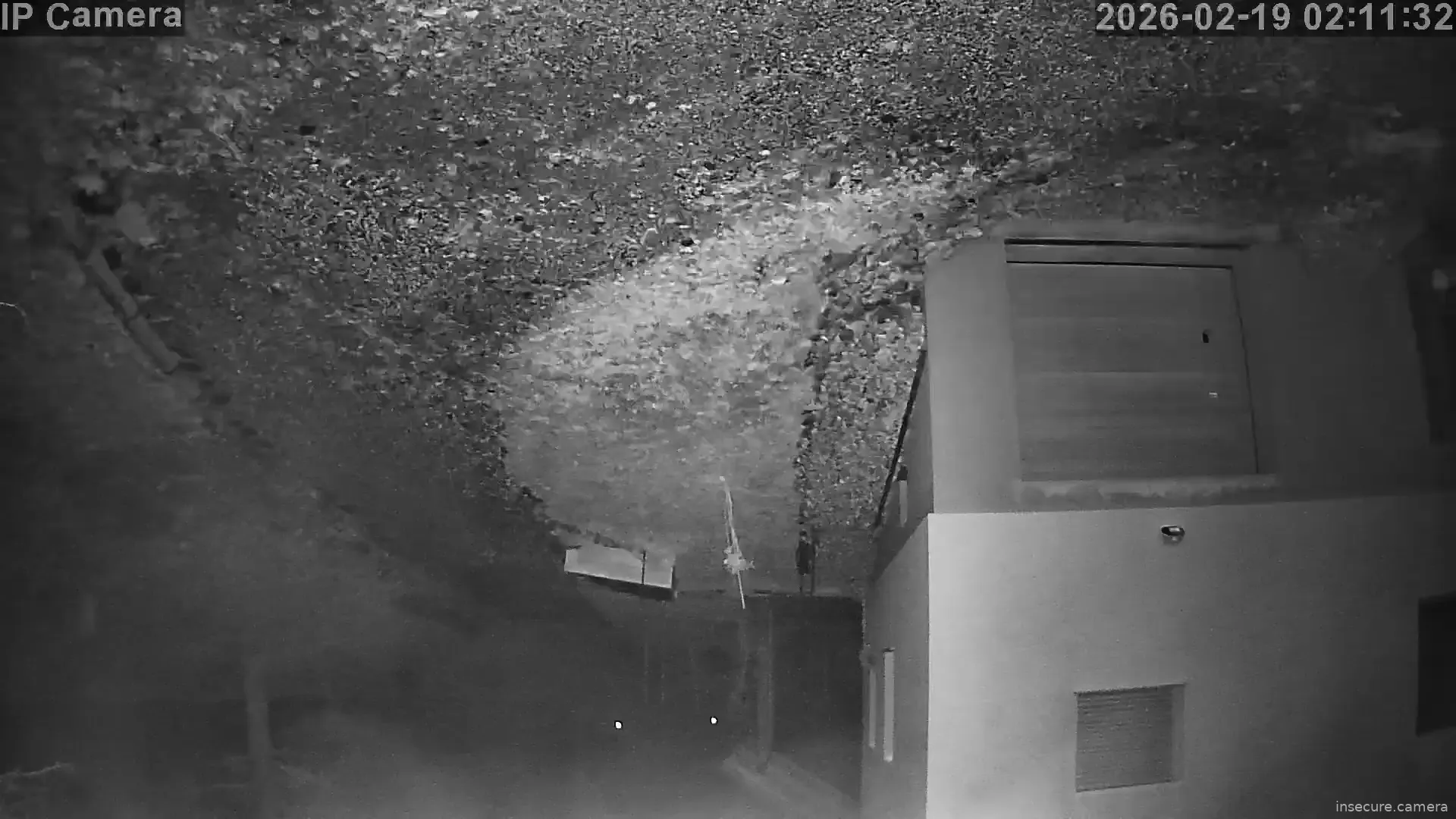 Capture from Feb 19, 2026 at 01:11 AM